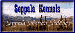 Seppala Kennels is the home of the Seppala Siberian Sleddog breed in Canada's Yukon Territory