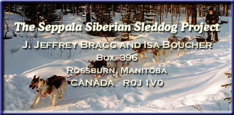 Seppala Kennels and the SSSD Project-
Mr. & Mrs. J. J. Bragg and Isa Boucher-
Box 396-
Rossburn, MB-
Canada R0J 1V0
