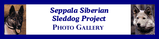 SSSD Photo Gallery Banner